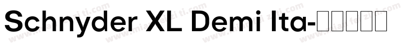 Schnyder XL Demi Ita字体转换